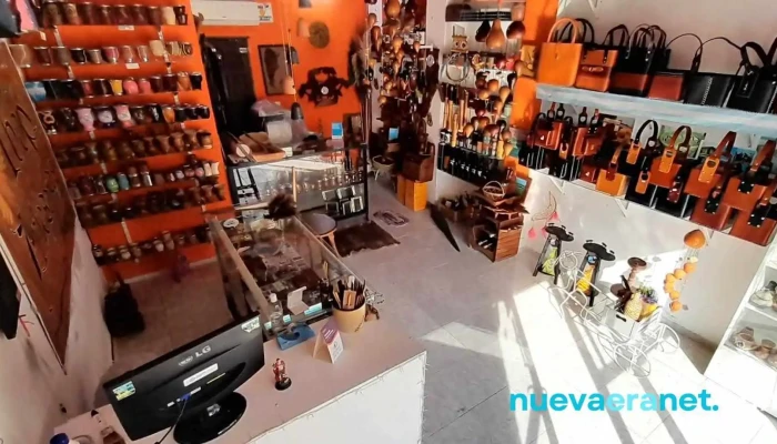Ibope Artesanias -  Del Propietario - Concepción