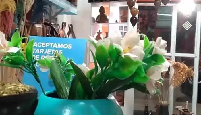 Ibope Artesanias -  Videos - Concepción