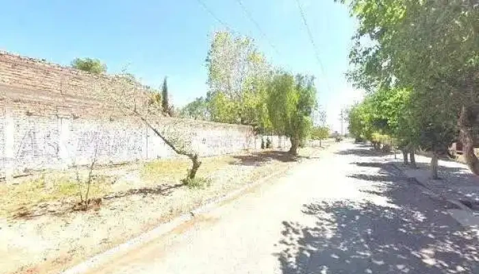 Jardines De Ensueno Catalogodeg - Rivadavia