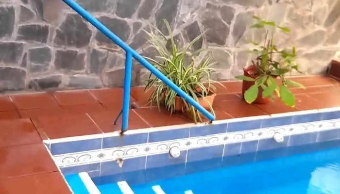 Karive Departamentos Videos - Termas de Río Hondo