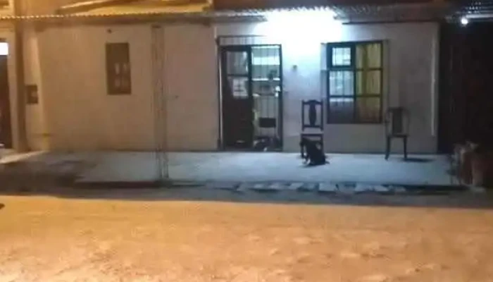 Kiosco la doña - Charata