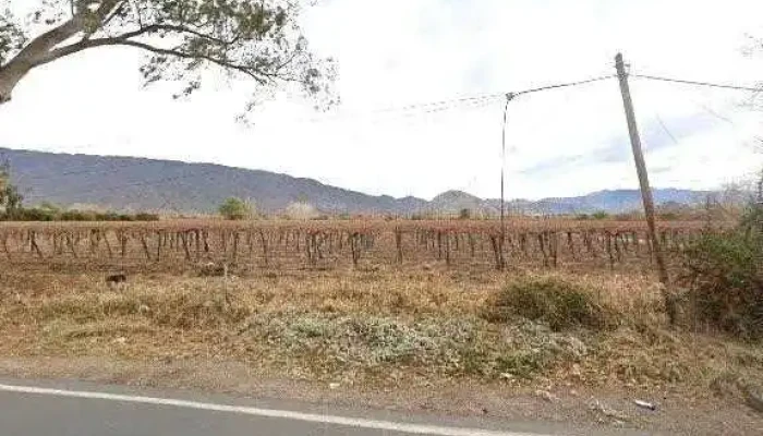 La Casa De Mecha Macetas Pintadas Fotosdeg - San Juan