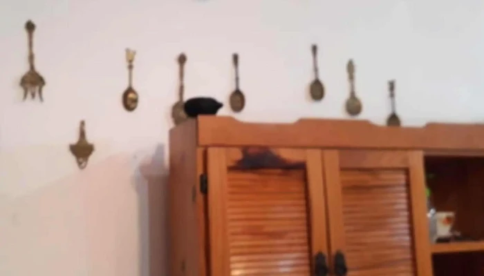 La Casita De Empedrado -  Ubicacion - Empedrado