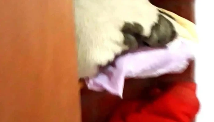 La Casita De Empedrado -  Videos - Empedrado