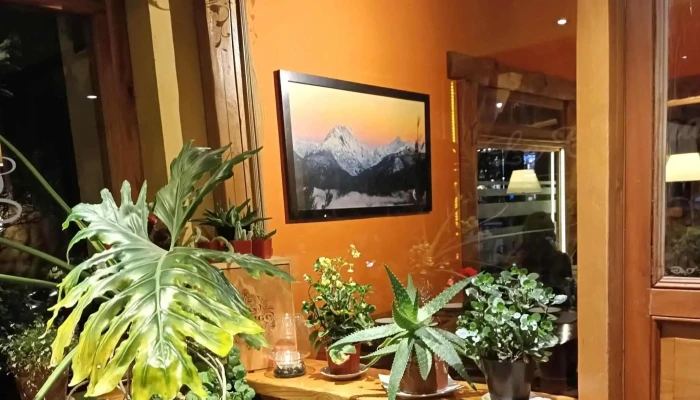 La Casona Restaurant -  Numero - San Martín de los Andes