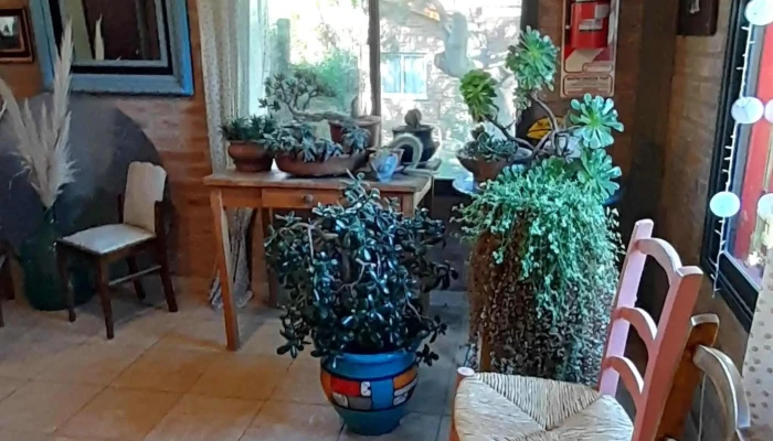 La Olla De Cobre -  Videos - El Rincón