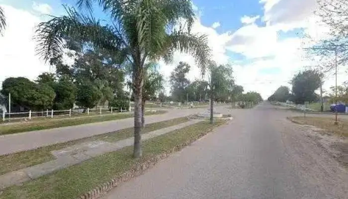 La Palmera -  Sitio Webdeg - Santa Margarita