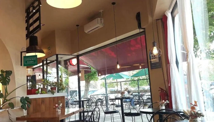 La Vene Puente Olive -  Ambiente - Godoy Cruz
