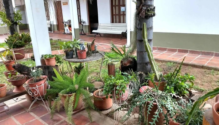 La Vieja Guardia -  De Los Visitantes - Mburucuyá