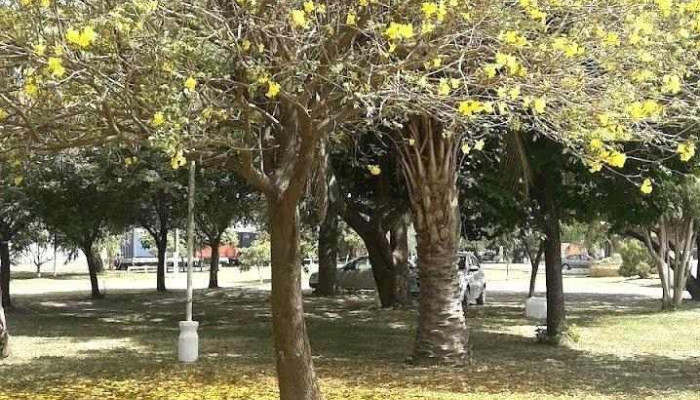 Laguna Paiva -  Promocion - Laguna Paiva