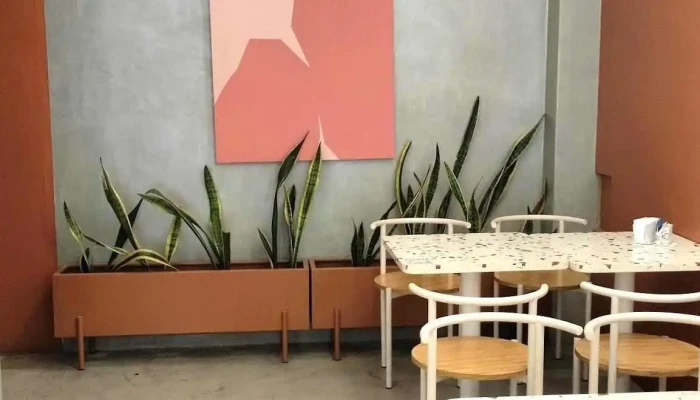 Lapana Centro -  Ambiente - San Juan