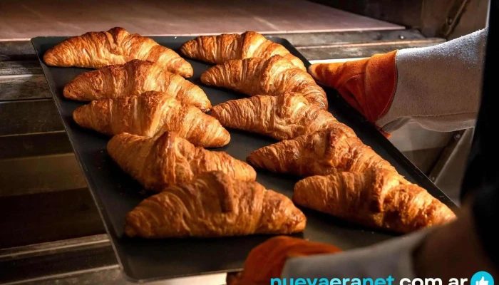 Le Pain Quotidien -  Comida Y Bebida - Cdad. Autónoma de Buenos Aires