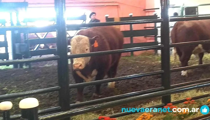 Local Remate Miramar -  Direccion - Gral. Alvarado