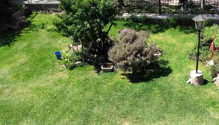 Los Aromos De Achiras -  Zona - Achiras