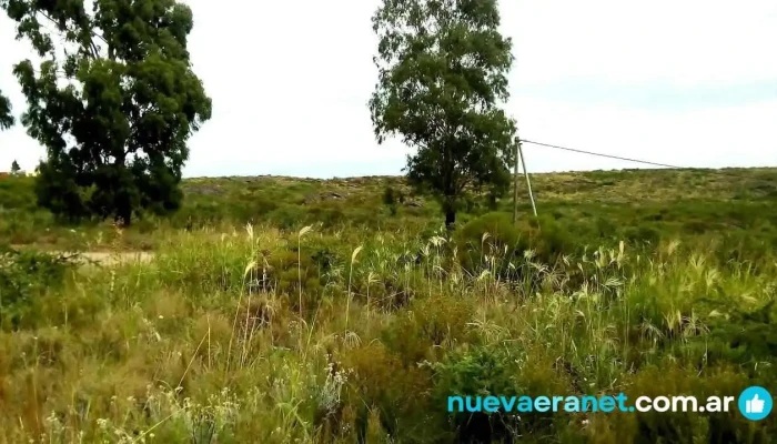 Los Robles De Achiras -  Videos - Achiras