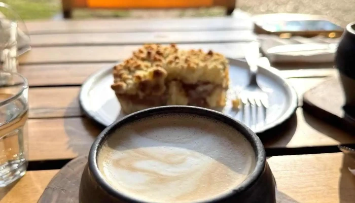 Madre Raiz Panaderia Consciente Mas Recientes - La Población