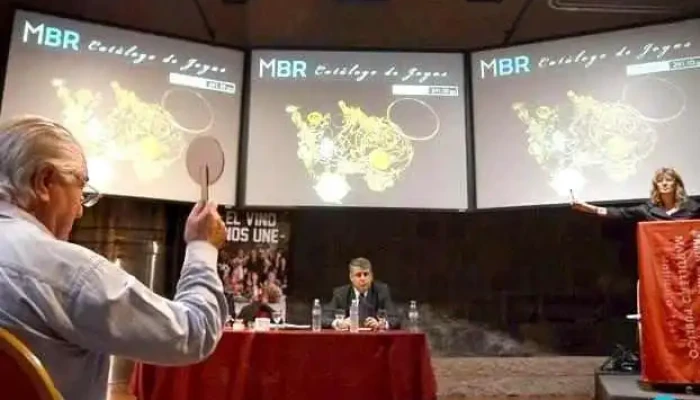 Manucha Subastas -  Comentarios - Mendoza