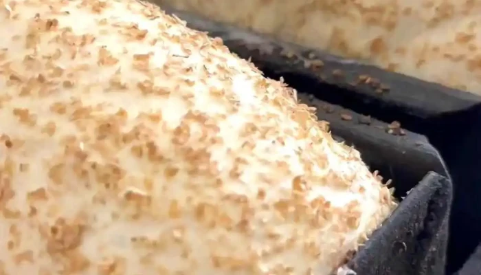 Manzano Panaderia Y Confiteria Videos - Concepción