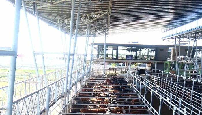 Mercado Agro Ganadero -  Zona - Cañuelas