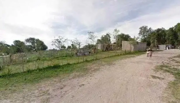 Mis Dulces Raices -  Sitio Webdeg - Río Cuarto