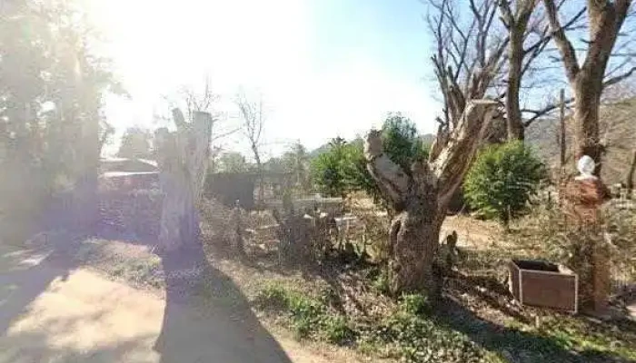 Mis Manos Panes -  Zonadeg - Santa Rosa de Calamuchita