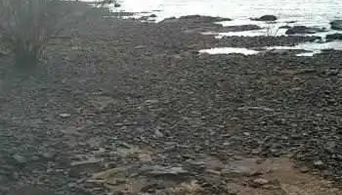 Monte Caseros -  Videos - Monte Caseros