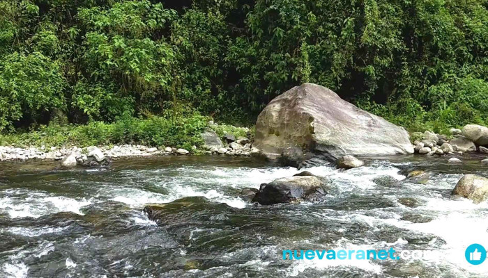 Monteros -  Videos - Monteros