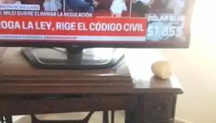 Muebleria Pino Hogar Videos - Merlo