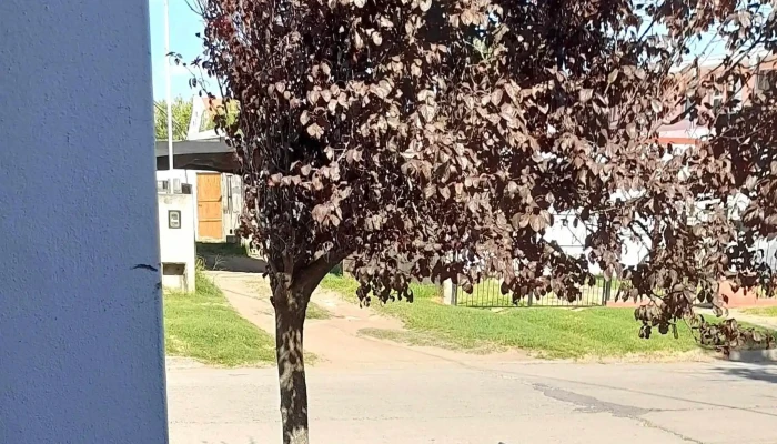 Municipalidad de Laboulaye - Laboulaye