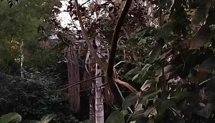 Nuestra Casa En Paso -  Videos - Paso de la Patria