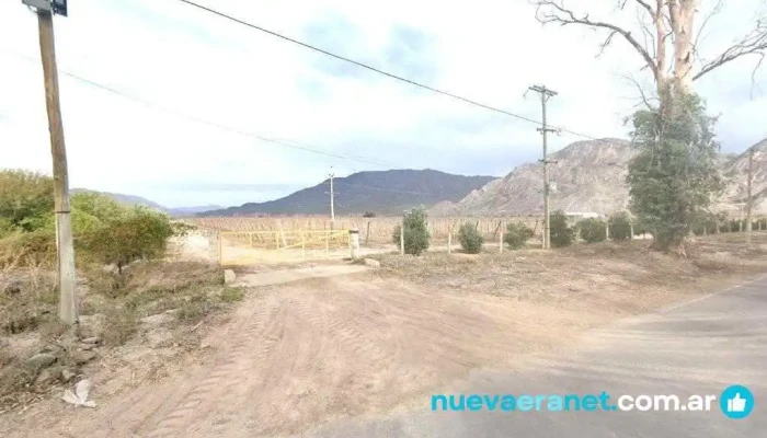 Nuestro Paraiso 🌱🍇 - San Juan