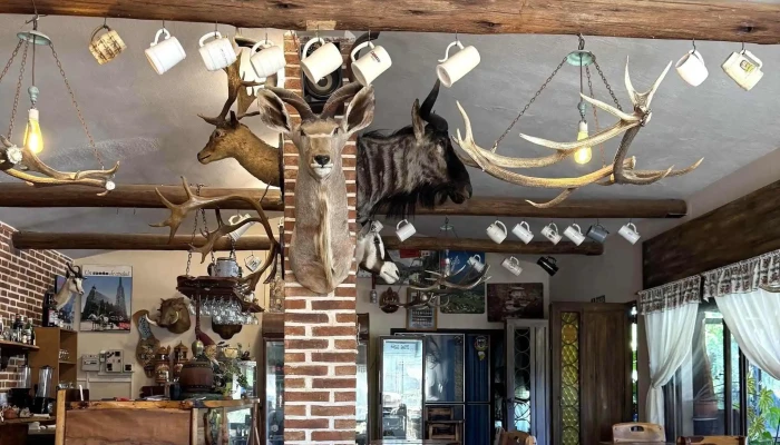 Nuevo Tirol Casa De Te Patio Cervecero Descuentos - Agua de Oro