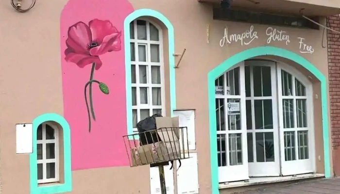 Panaderia Amapola Gluten Free Videos - Comodoro Rivadavia