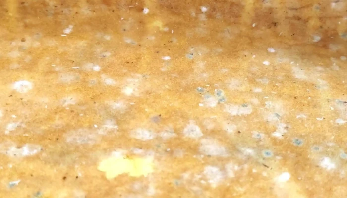 Panaderia Artesanal Stoll -  Ubicacion - Río Cuarto