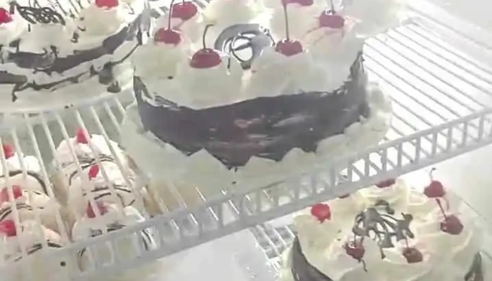 Panaderia Artesanal Videos - Miramar de Ansenuza