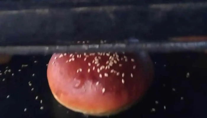 Panaderia Integral Videos - San Rafael