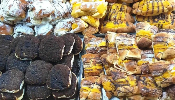Panaderia La Europea Catalogo - Bernardo de Irigoyen