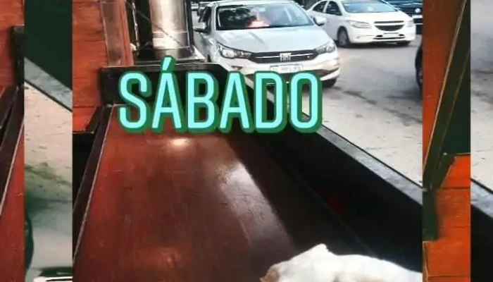 Panaderia La Gringa Suc Alberdi -  Videos - Río Cuarto