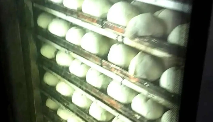Panaderia Mamma Sonia -  Videos - Río Gallegos