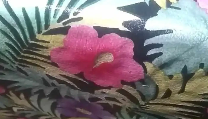 Panaderia San Alberto Videos - Córdoba