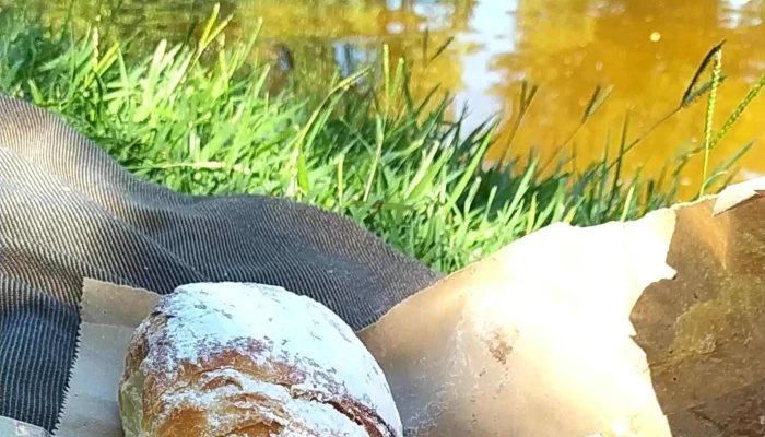 Panaderia Y Confiteria Abril -  Comentarios - Mina Clavero