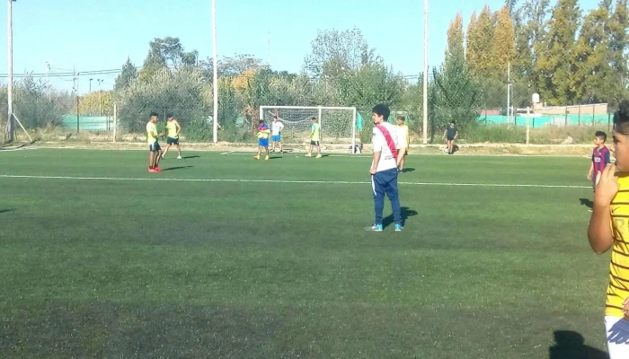 Panificadora Oscar - Maipú
