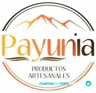 Payunia Productos Artesanales Del Propietario - San Rafael