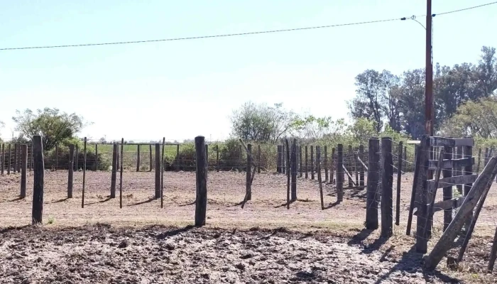 Predio Feria Sociedad Rural Hersilia -  Donde - Hersilia