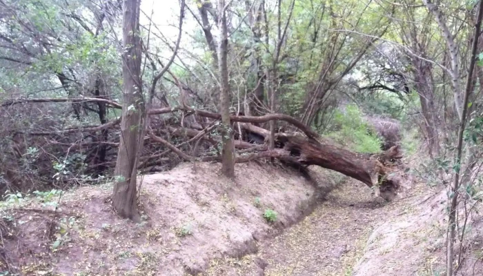 Quebracho Yaco - Santiago Del Estero