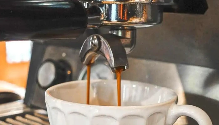 Querida Coca -  Cafe - San Martín de los Andes