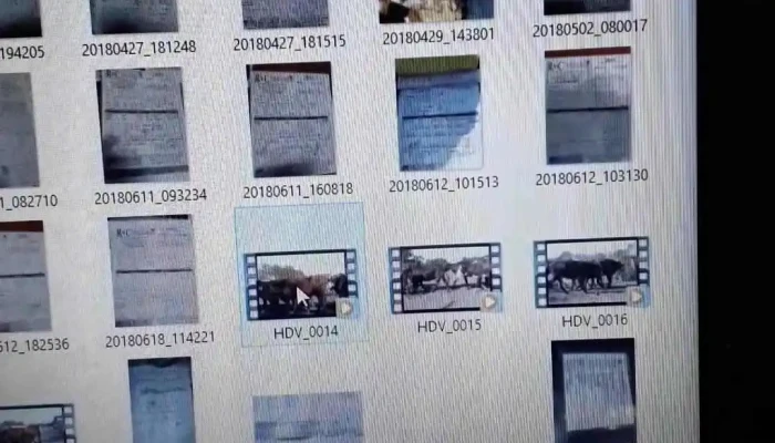 Reggi Y Cia Srl -  Videos - Curuzú Cuatiá