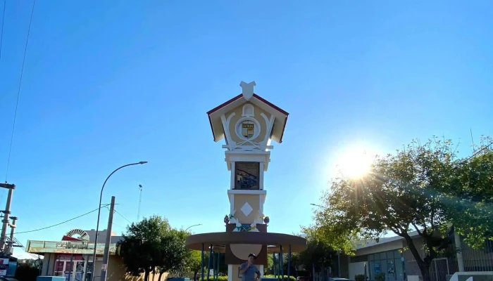 Reloj Cucu Donde - La Falda