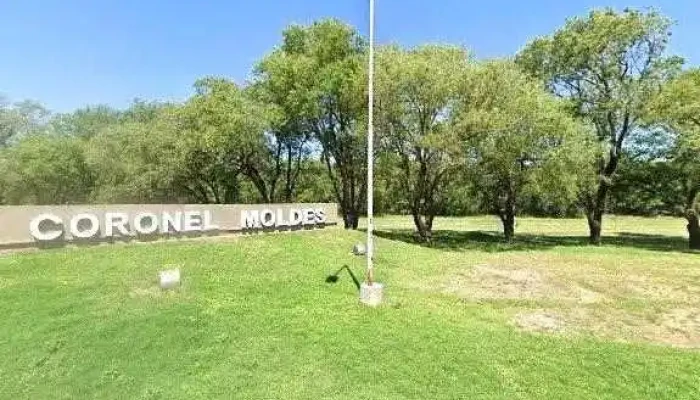 Remate De Hacienda Carlo J Lanser Descuentos - Coronel Moldes