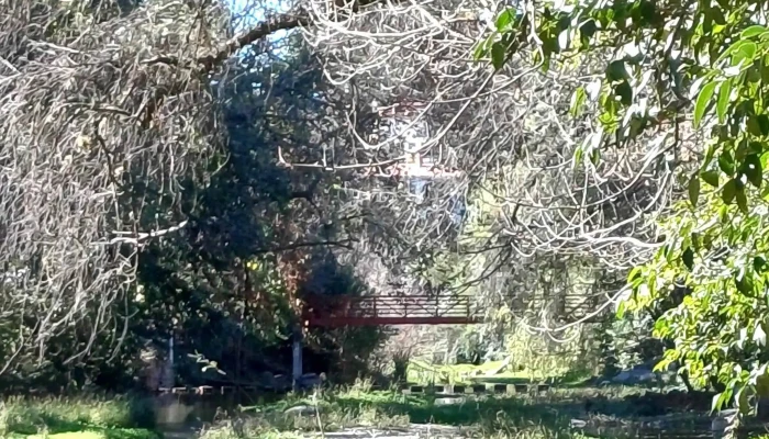Retiro Espiritual Hermanas Franciscanas -  Comentarios - Agua de Oro